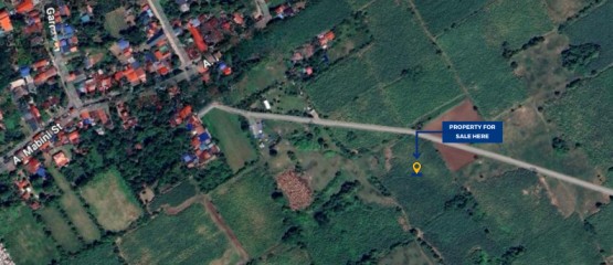 Rawland for sale in Tanauan, Batangas